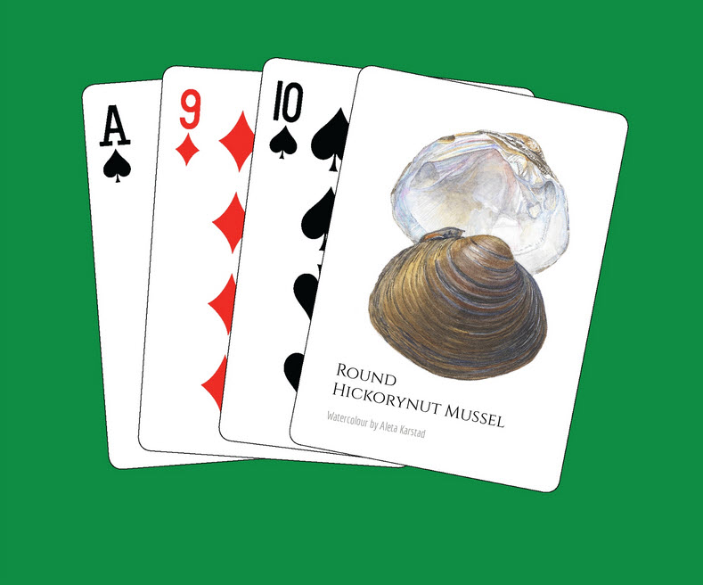 Nature Playing Cards #4