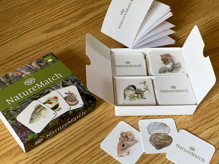 Nature Match Game Components